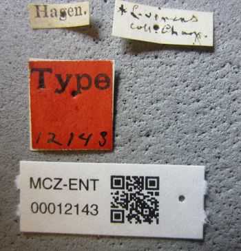 Media type: image;   Entomology 12143 Aspect: labels